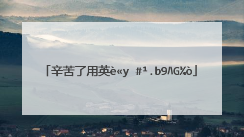 辛苦了用英语怎么翻译?